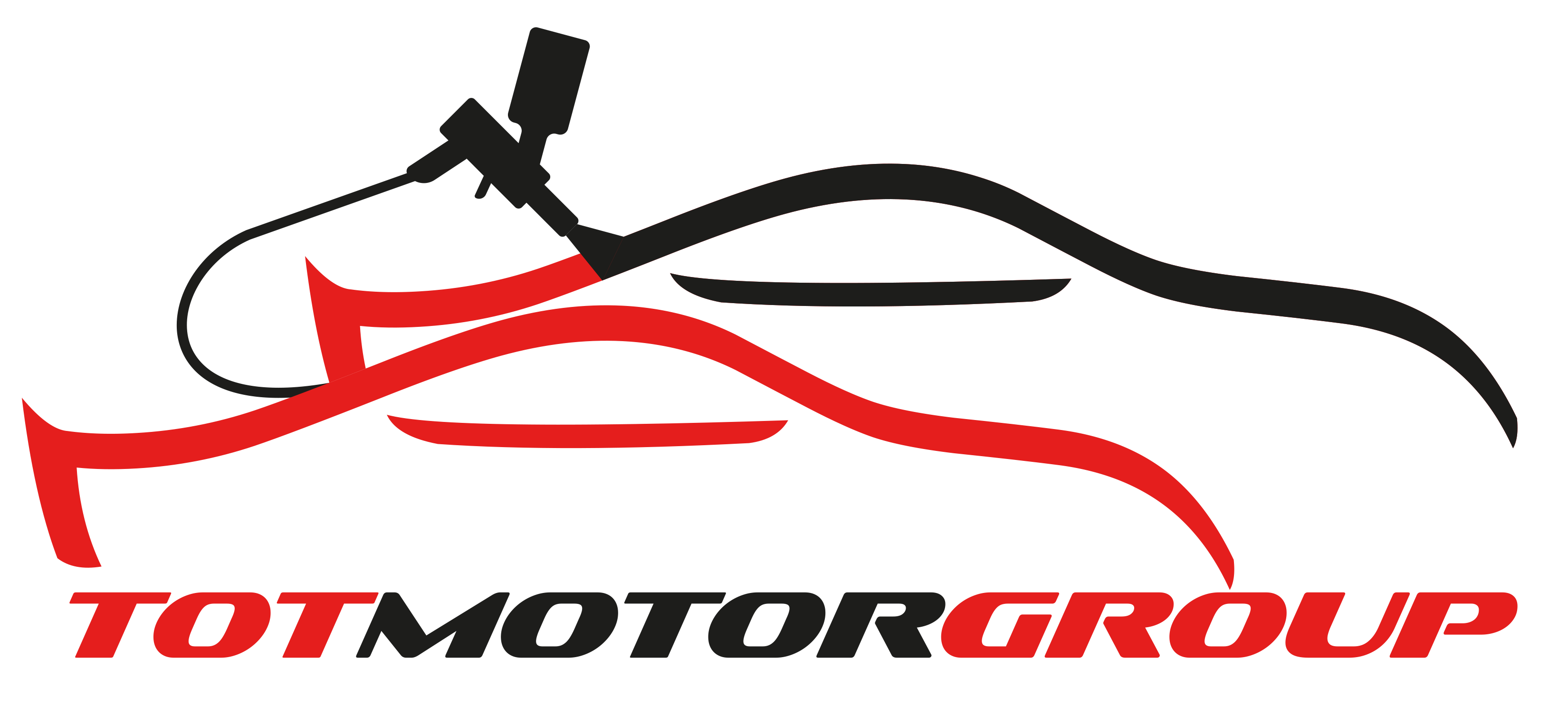 Logo Tot Motor Group